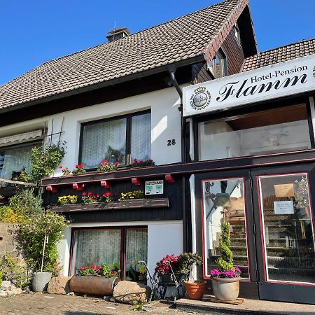 Hotel-Pension Flamm Браунлаге Экстерьер фото